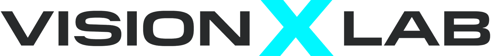 VisionXLab